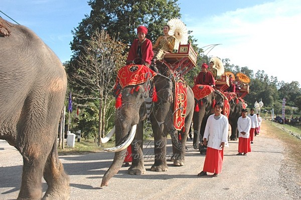 Elephant Conservation Center - Thailand - CULTURES