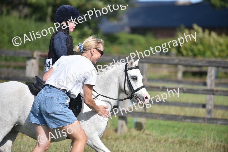20260906-0966 - Class 7 - Absolute Novice Jumping 35cm
