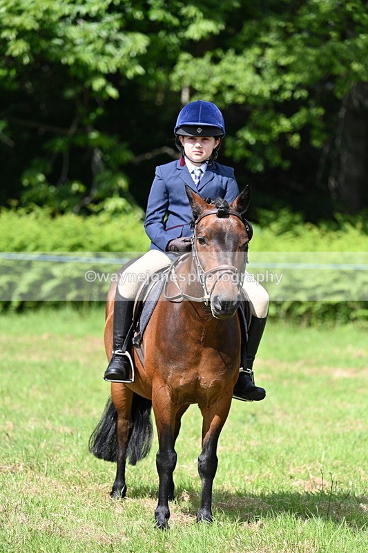 WJ7_0875 - Class 8 First Rally Pony