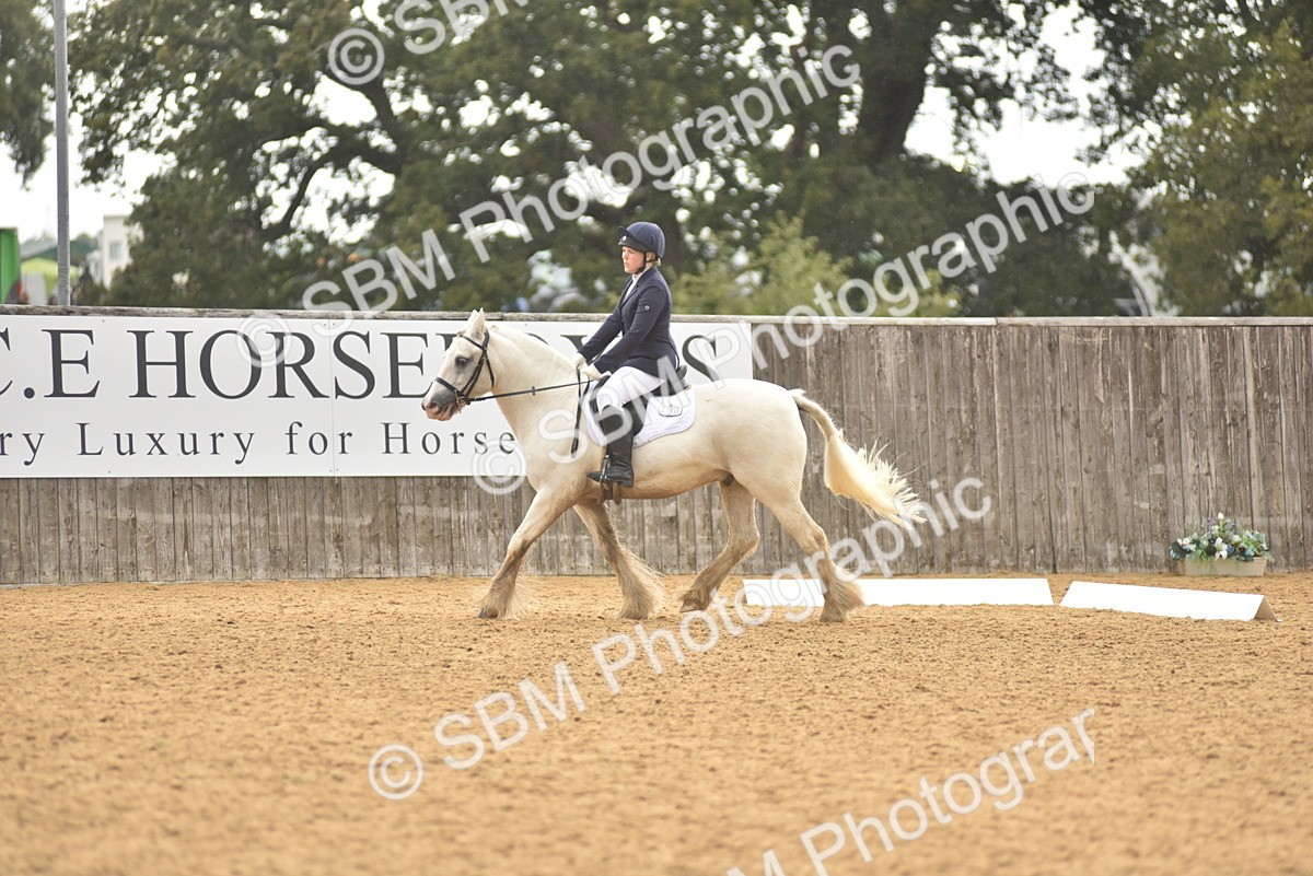 SBM_42419 - D22 - Junior Championship Intro 3