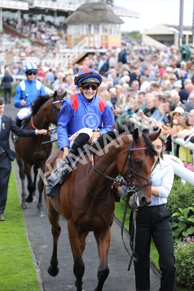 yr17082022r4-43 - Race 4 3.35pm Juddmonte International Stakes (British Champions Series Race)