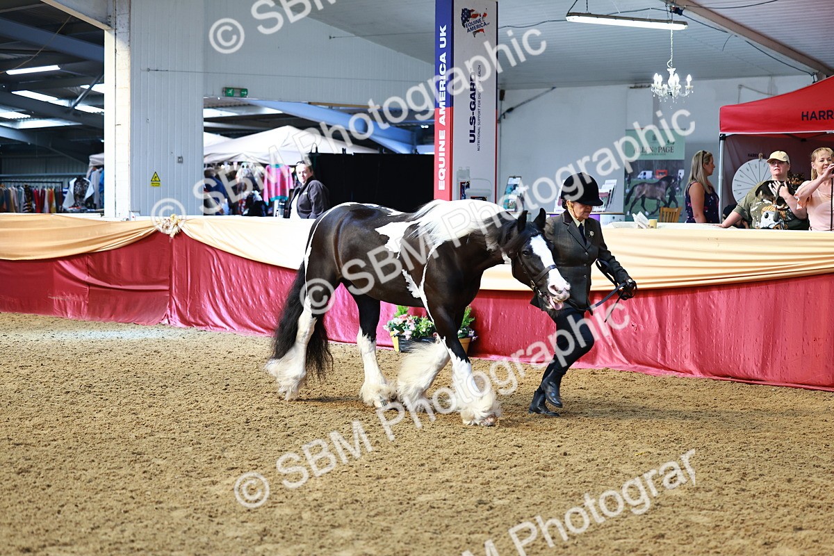 SBM_23041 - Class 903 - Supreme Final - IH Pre Vet