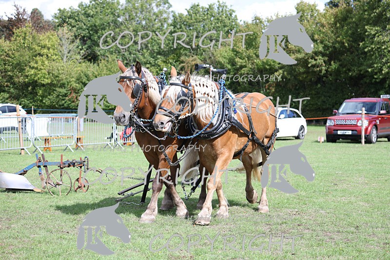 APP_3599 - Class 7 Turnout for a single or pair