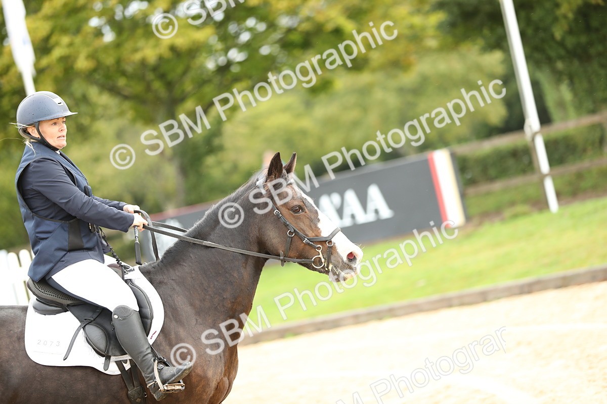 SBM_02013 - J34 - Veteran Rider 50cm