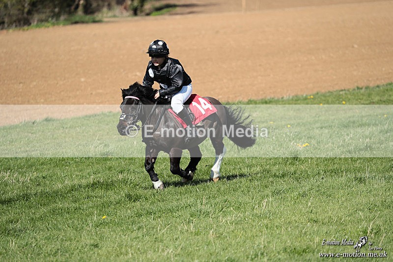 Shet 060426 308 - Shetland Pony Racing Paxford Races Easter Mon 06/04/26