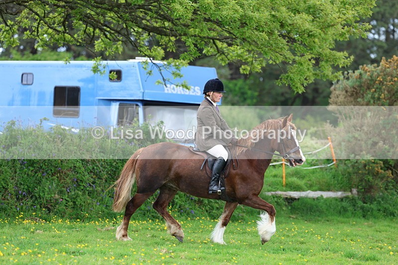 3E7A0657 - Class 5: Ridden M & M Senior