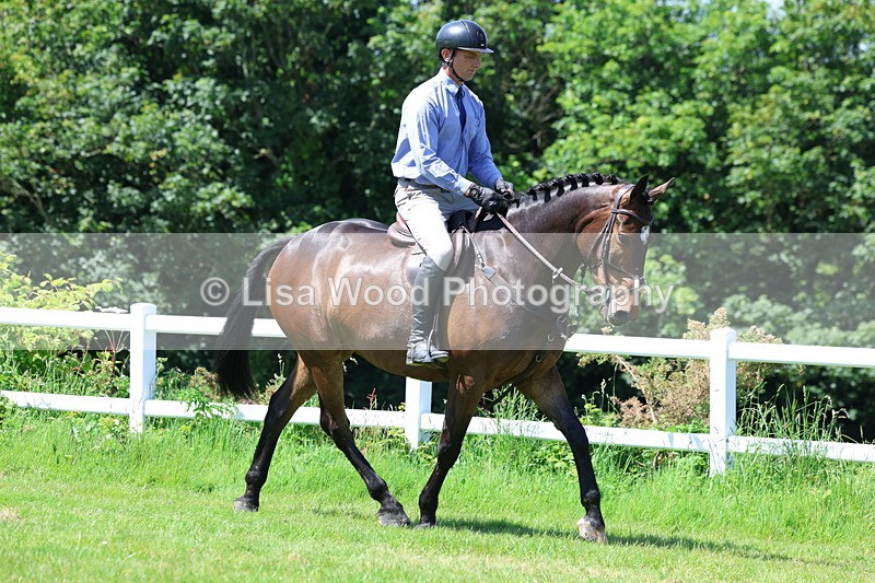 3E7A7171 - Class 30: Novice Working Hunter