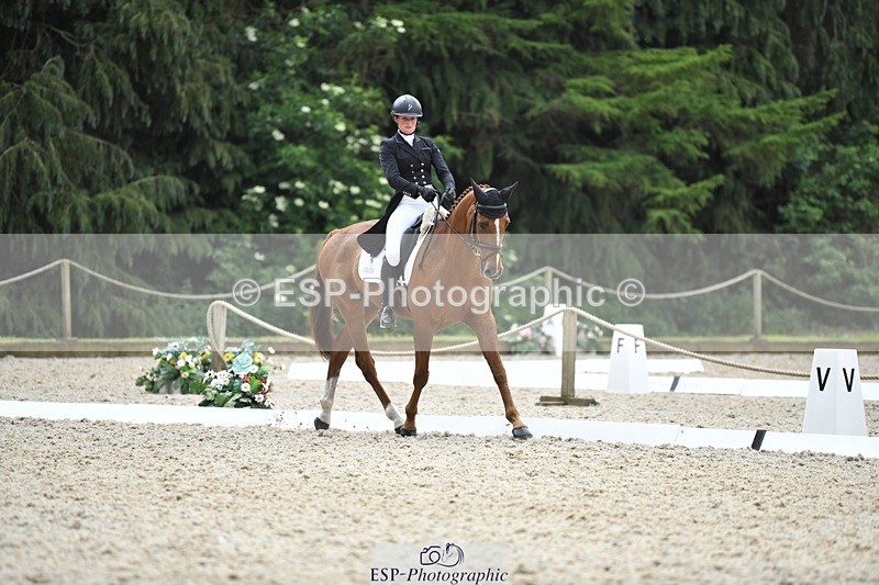 230525-130300-02082 - 113-I'M_A_WONDER-Rosie_Fry-WEDTrotUp+DR