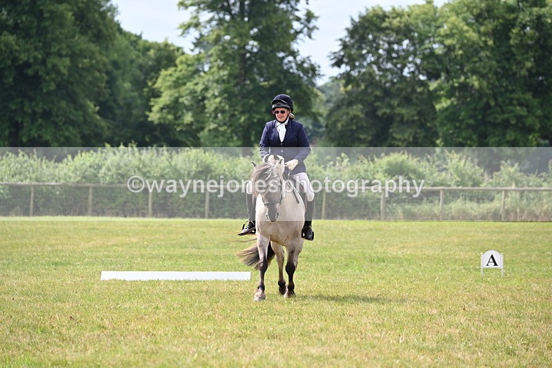 WJ6_6035 - Time 09:46 to 10:26