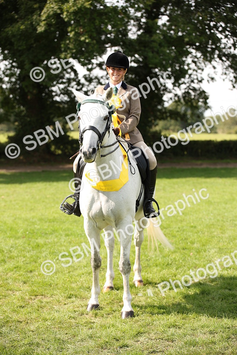 SBM_65996 - S64 - Riding Horse & Hack & Thoroughbred Ridden