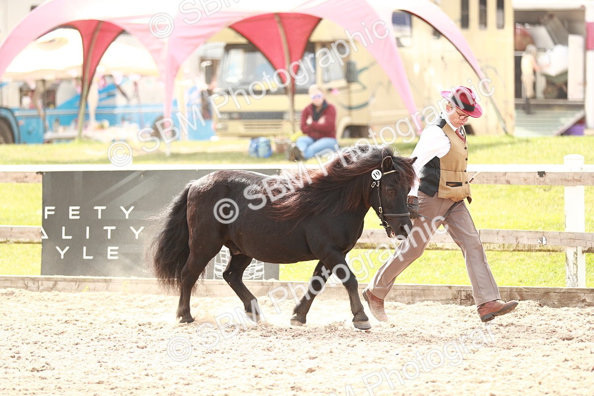 SBM_12424 - Class 207 IH M&M