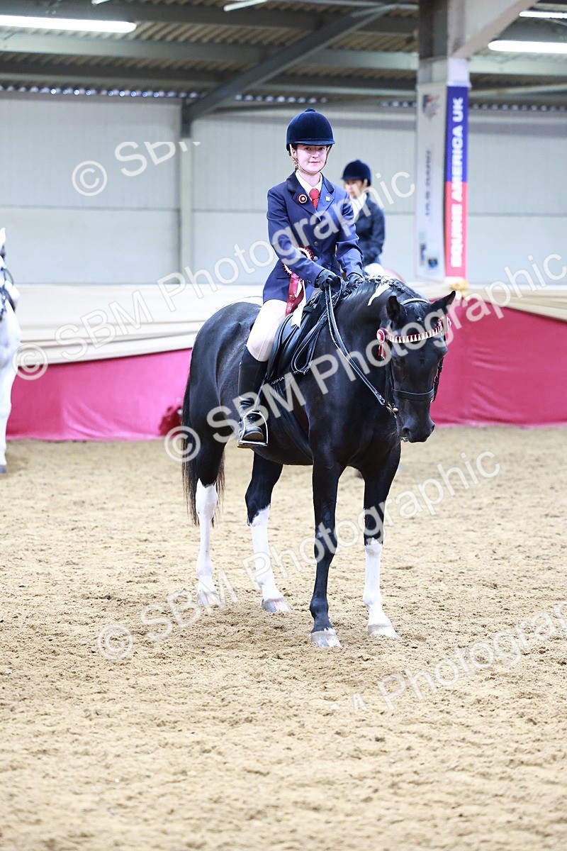 SBM_23545 - class 906 - Supreme Final - Ridden Pre Vet
