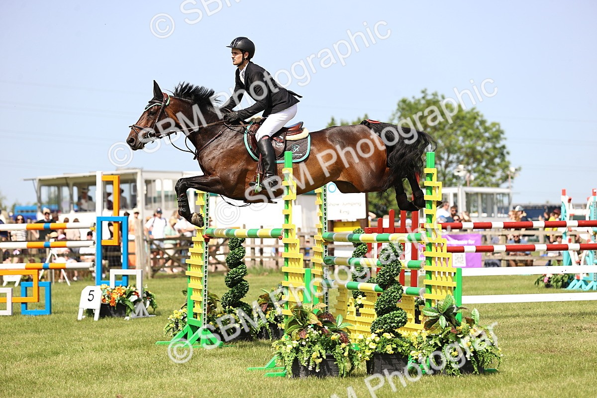 SBM_03143 - Class 201 - British Horse Feedds Speedi Beet HOYS Grade C