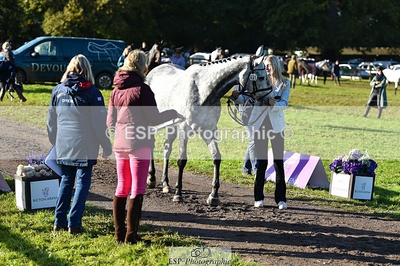 231022-100000-22172 - 451-THE.GREY.DANCER-Alice.Sandiford-TrotUp+SJ