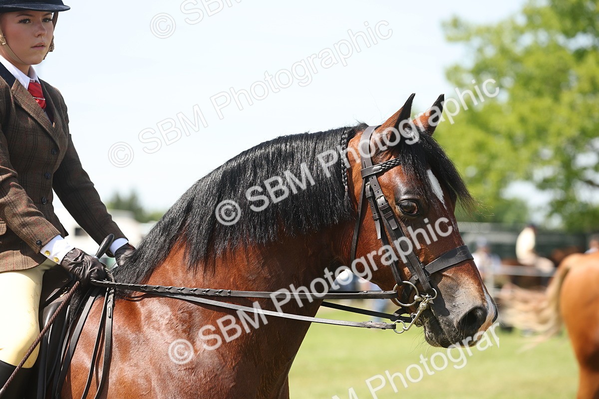 SBM_06958 - Class 26-30 - Mountain and Moorland Ridden