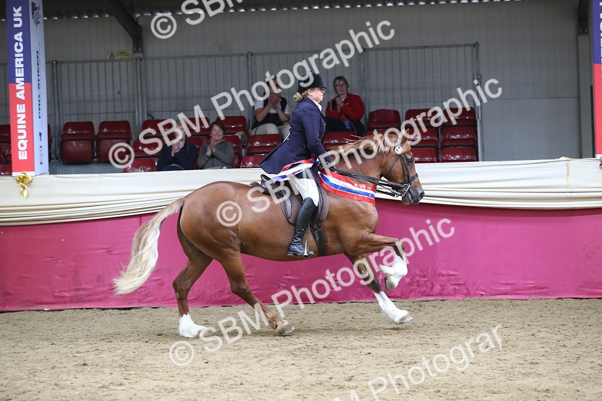 SBM_17240 - M&M Supreme Final Champ