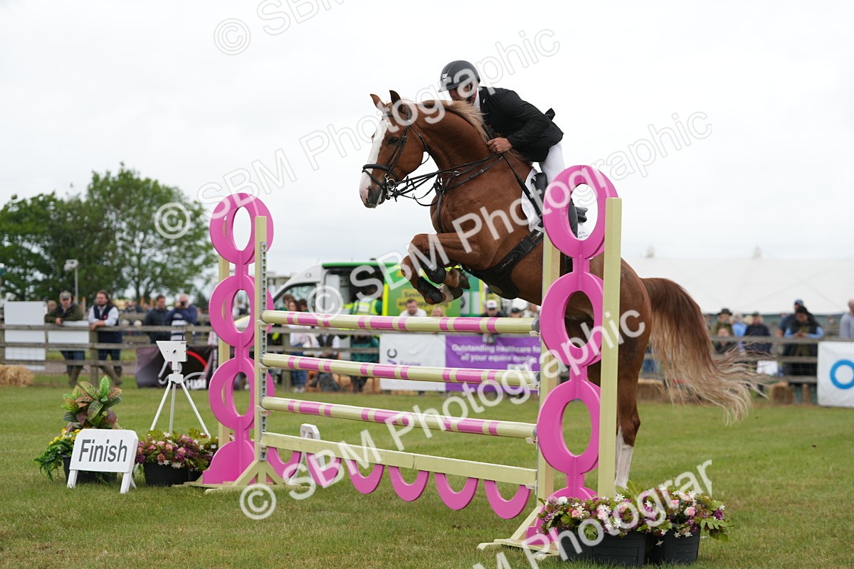 SBM_05296 - Class 201 - British Horse Feeds Speedi Beet Horse of the Year Show Grade  C