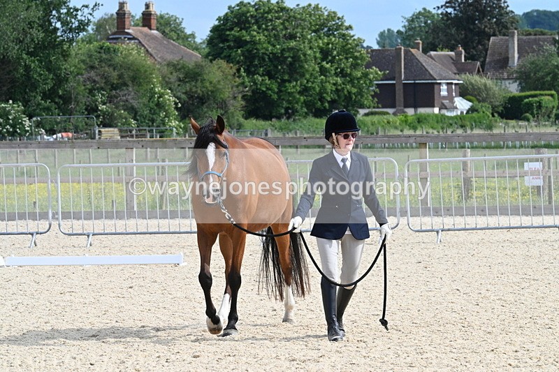 WJ7_8228 - Time 16:10 to 16:25