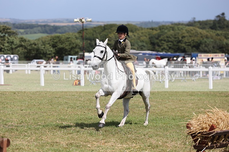 JPP_2100 - Class 19: Working Hunter 60cm