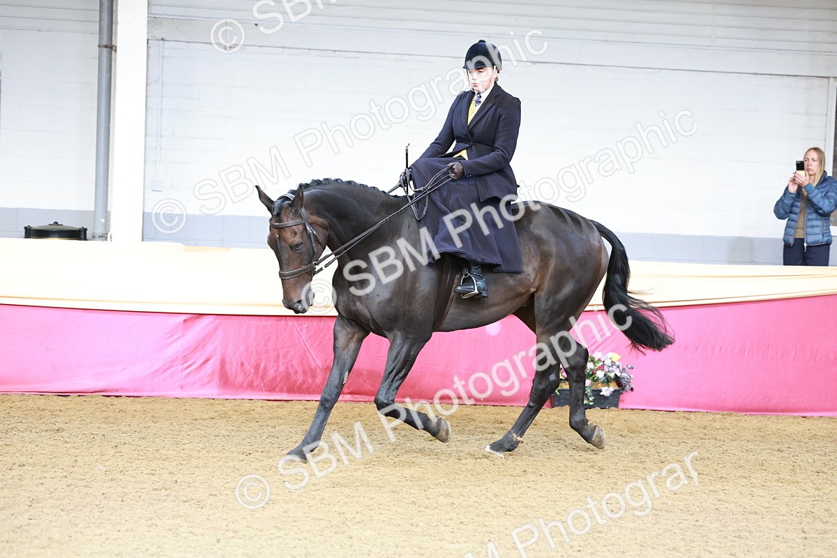 SBM_11945 - Class 102 - Equitation (Best Rider) Adult