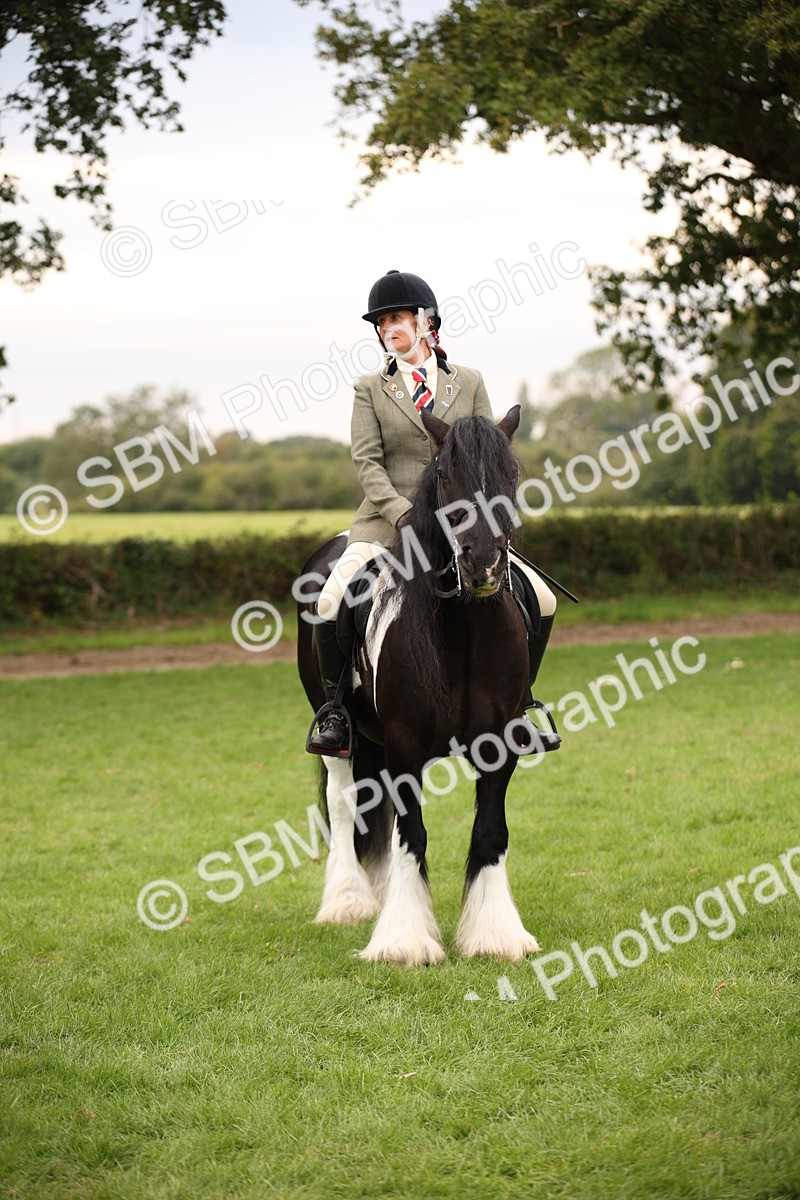 SBM_73464 - S68 - Traditional Cob Ridden