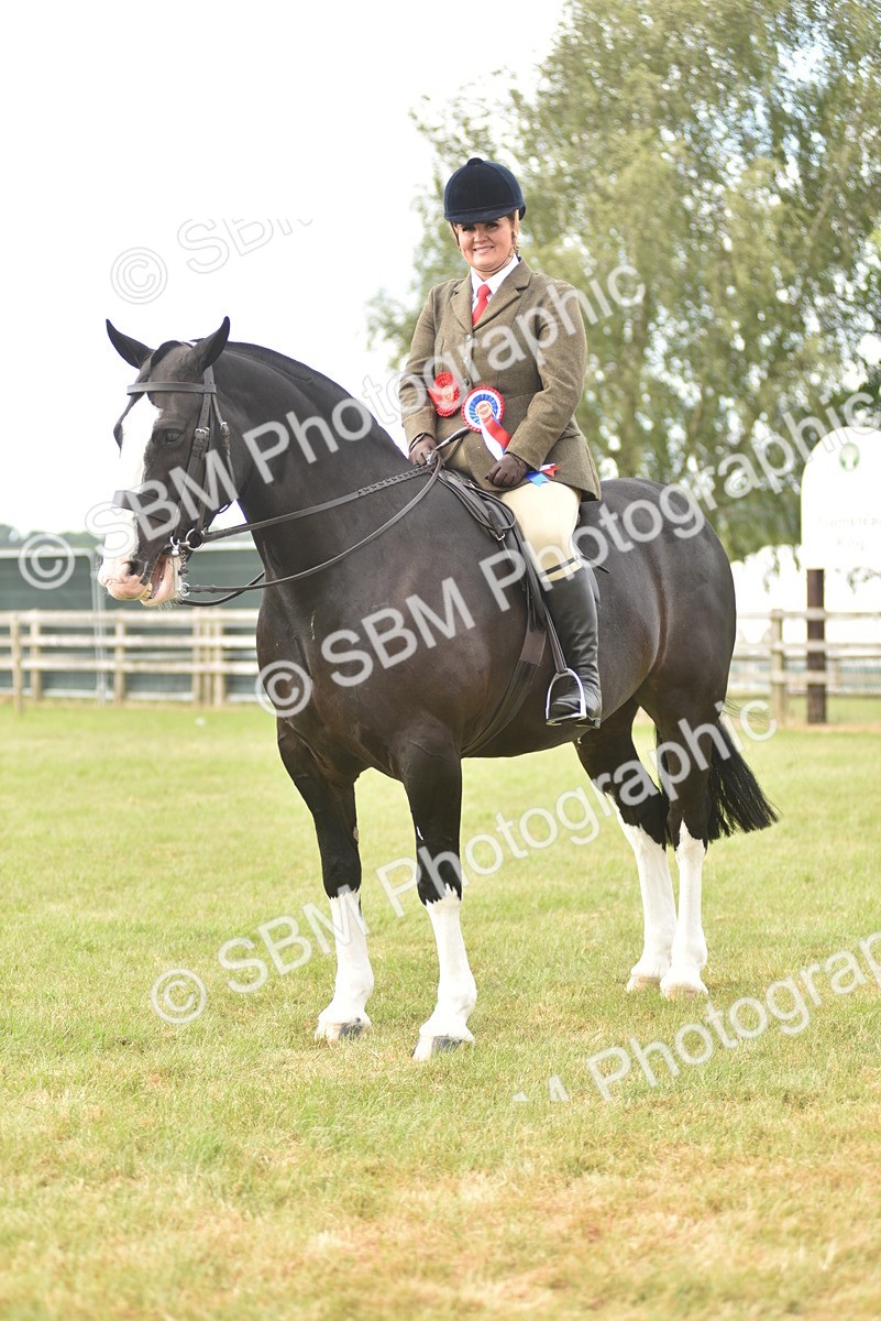 SBM_18266 - Class 122-123 - LIHS BHSA Raising Star Style and Performance Series