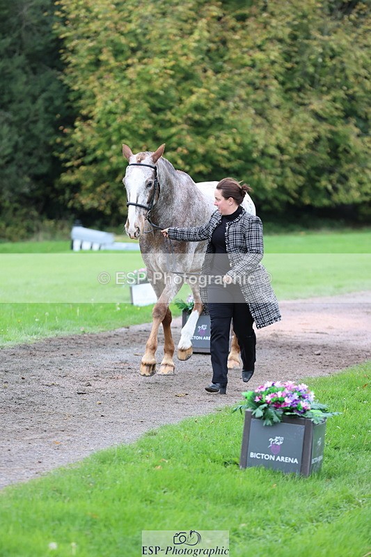 251026A-113258-25514 - F-426-Tracey.Neville