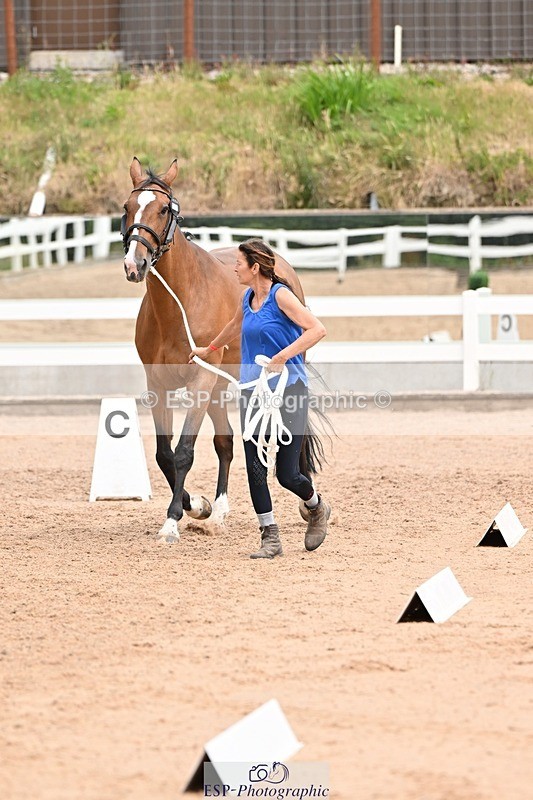 250716-144434-01346 - Trot Up 2.30 to 3.30