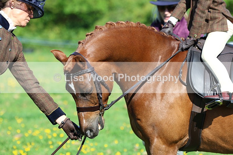 3E7A8792 - Class 2: Lead rein