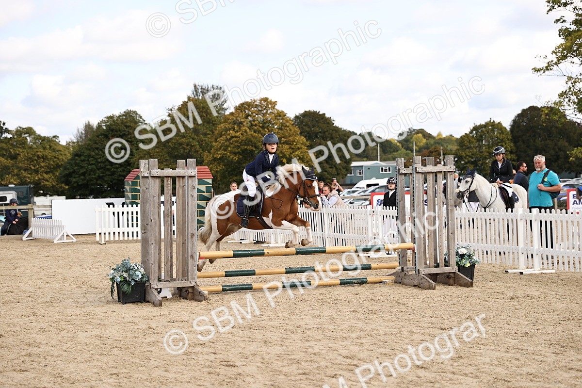 SBM_62144 - J12 - Junior Pony 55cm Championship