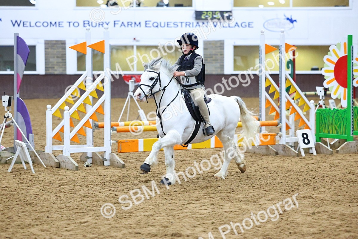 SBM_001433 - Class 3 - Christmas Tree Stakes - 60cm