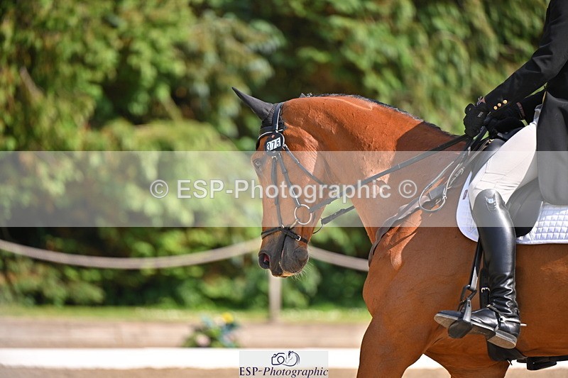 250523A-161223-08004 - B-375-Lucas.Poole-GERDEAKER