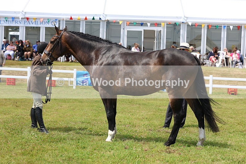 3E7A1738 - Class 9: Open Hunter