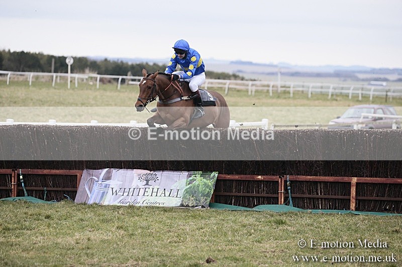 PtP 180218 145 - Combined Services Point-to-Point Larkhill 18/02/18