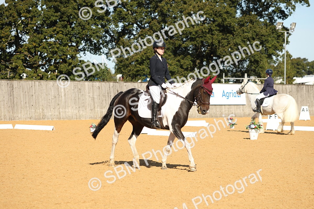 SBM_18759 - D10 - Small Tour Championship - Prelim 2