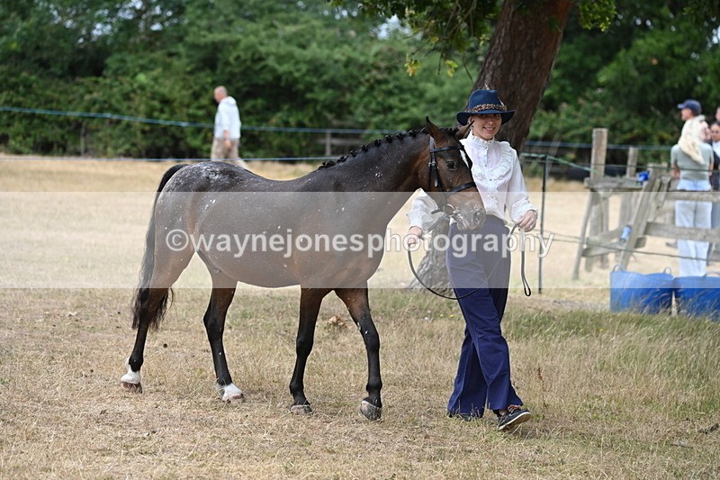 WJ6_7952 - Class 10 Coloured in Hand