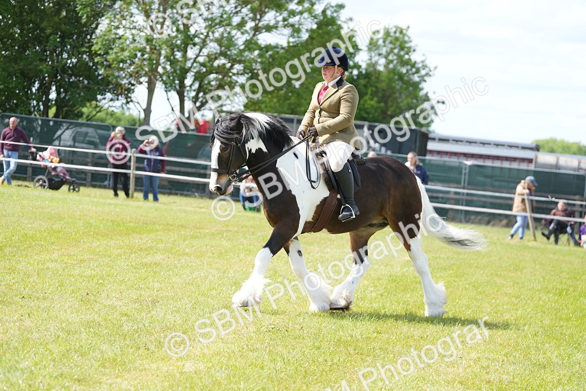 SBM_17143 - Class 107-108 - LIHS BSPS Performance Coloured Horse Pony