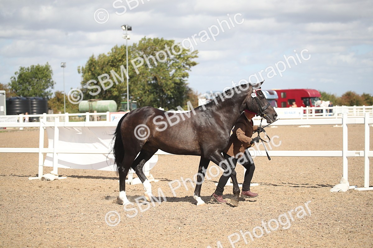 SBM_23421 - Class 604 - 2026 - Area IH Diamond
