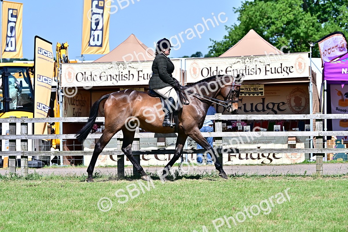 SBM_18200 - Class 99-100 - Retraining of Racehorses Ridden