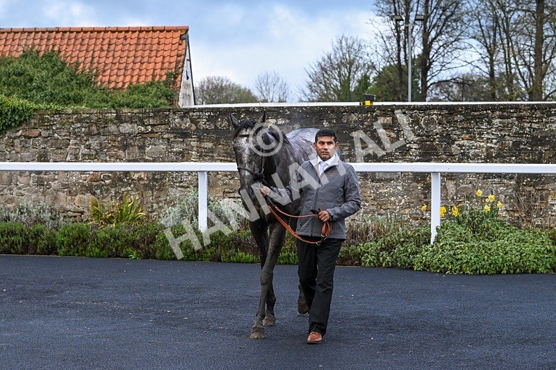  - Race 6