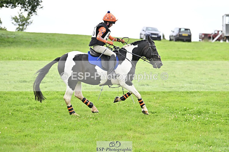 240804-144436-15451 - 555-Jack_Wish-WESTERLAKE_BUTTONWEED