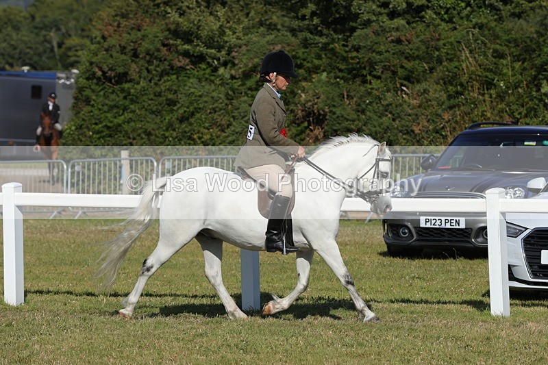 1X9A6070 - M & M Ridden Championship