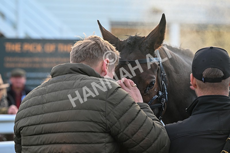 161225-Race 4-Noonetellsmenothin-8618 - Race 4