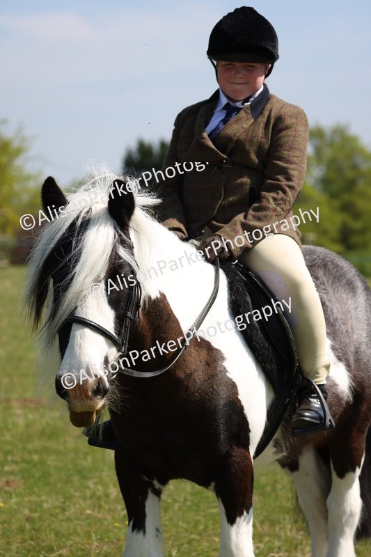 20250427-3256 - Class 33 - Best Pony 14.2hh and Under