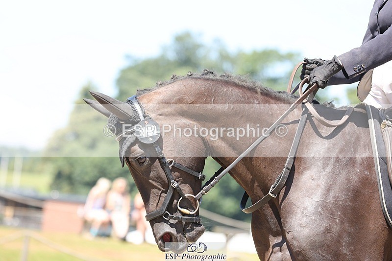 240719-123144-01725 - 222-Deborah_Randall-Wil_Danna