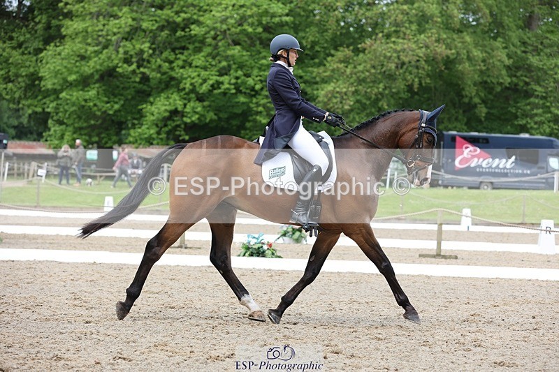 240523-104136-03373 - 214-DSH_GOLDEN_EYE-Lucinda_Mesquita