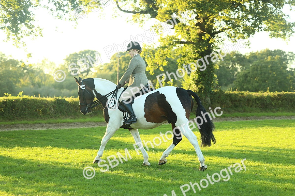 SBM_56483 - S14 - Riding Club Horse