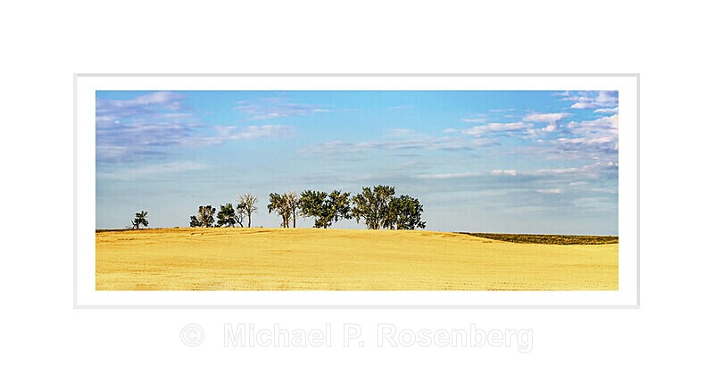 Field of Gold, ND - HOME ON THE PRARIE