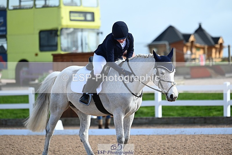 240323A-102009-01348 - DR Prelim 2