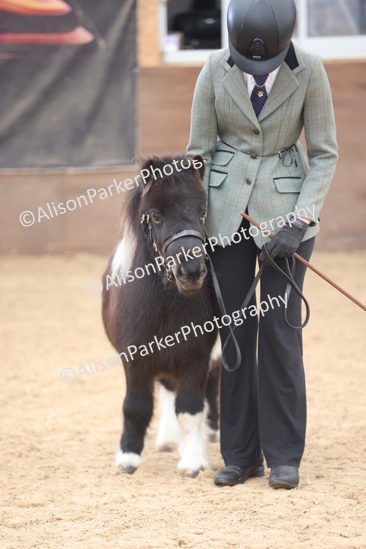 20251109-0250 - Class 11 - 2 and 3 Year Old